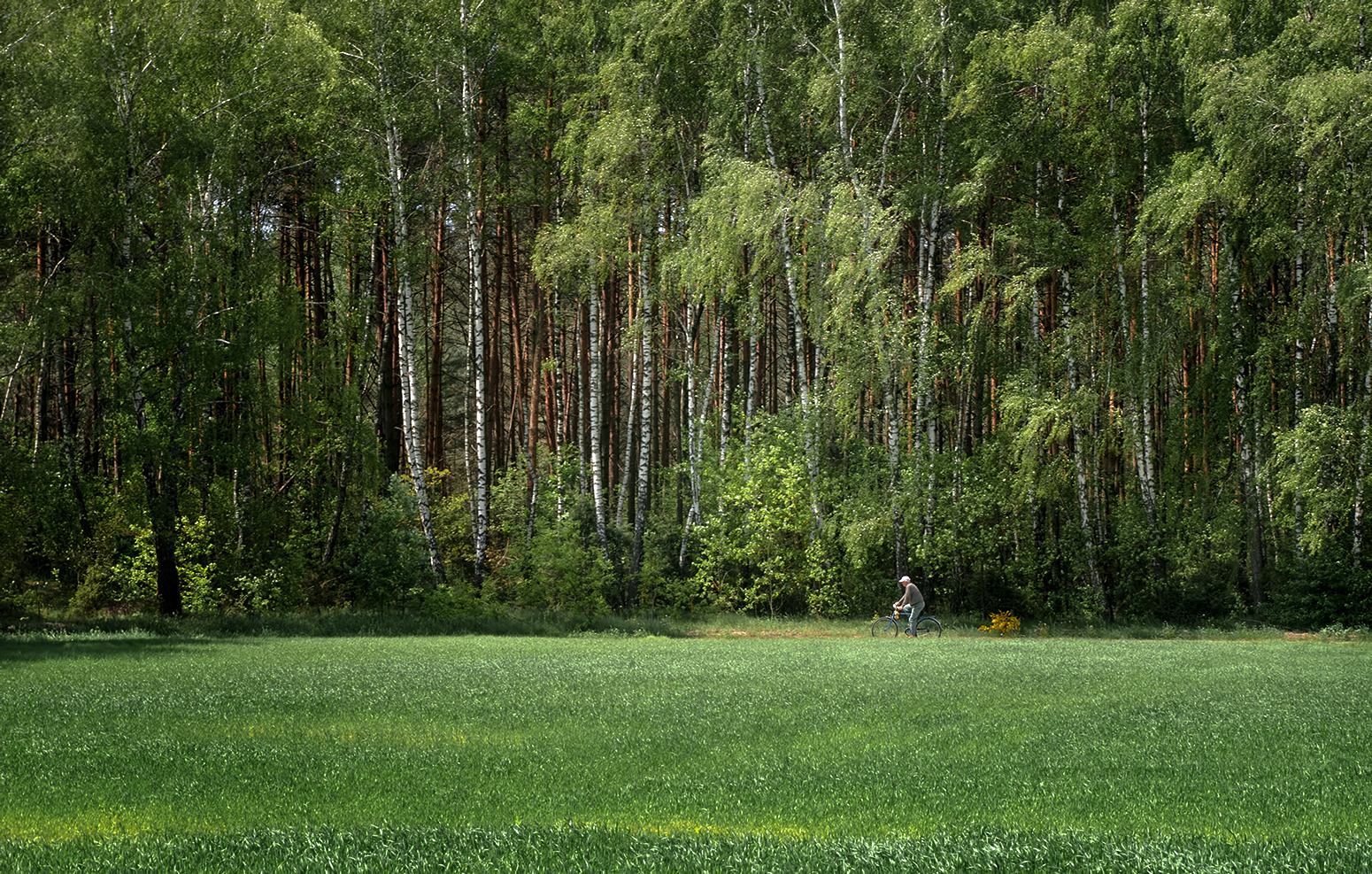 Мир зеленого цвета | Фотограф Александр Шатохин | foto.by фото.бай