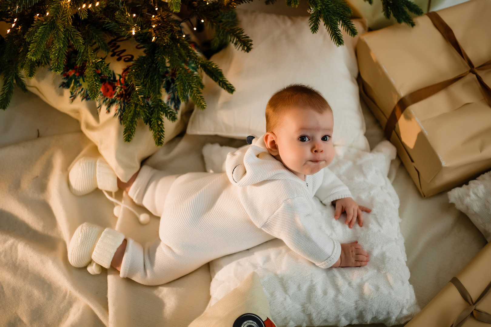 Фотограф Анастасия Лагуновская, фотография от 03.12.2025