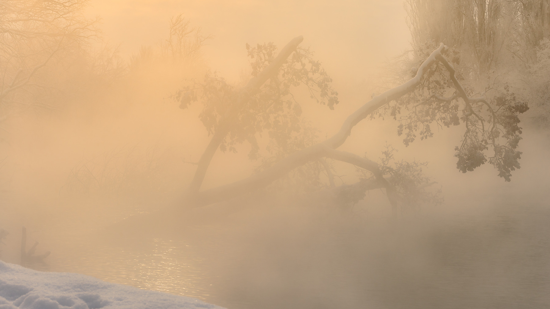 Растворяясь в утреннем тумане | Фотограф Александр Плеханов | foto.by фото.бай
