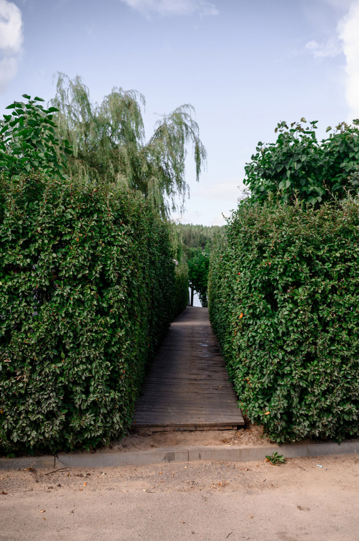 Фотограф Кирилл Емельянов - свадебный фотограф  Минск, фотография от 25.02.2026