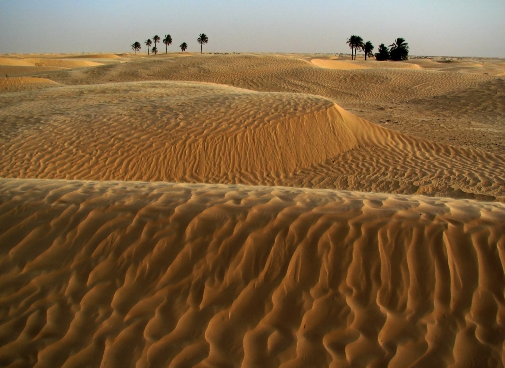Сахара | Фотограф Владимир Науменко | foto.by фото.бай