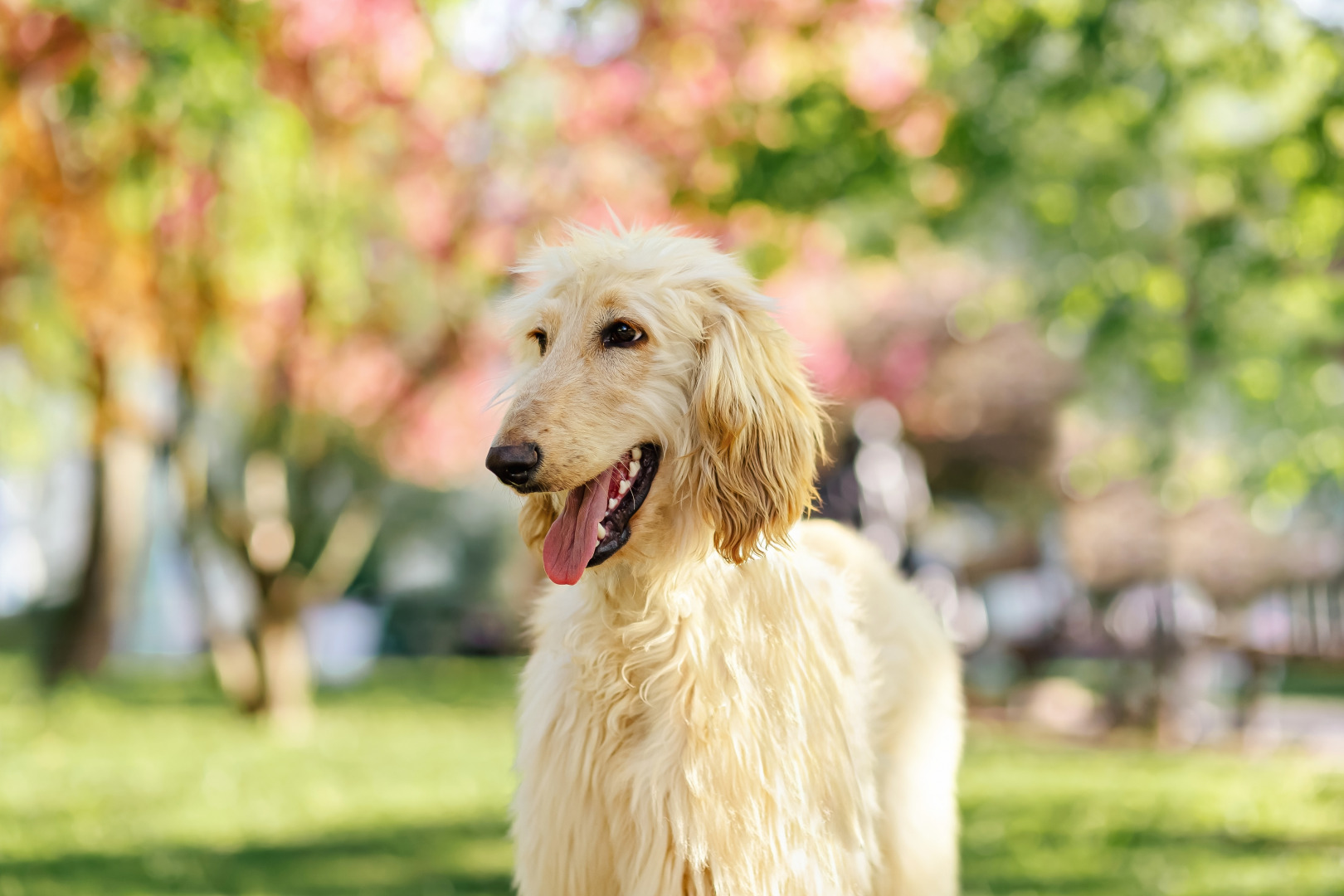 Фотограф Анна Островская, фотография от 15.01.2026