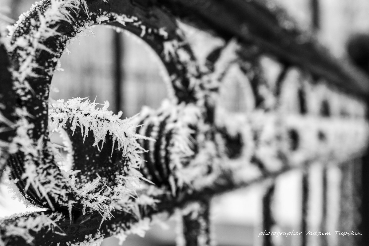 Зимнее волшебство: застывшее мгновение | Фотограф Vadzim Zycharby | foto.by фото.бай