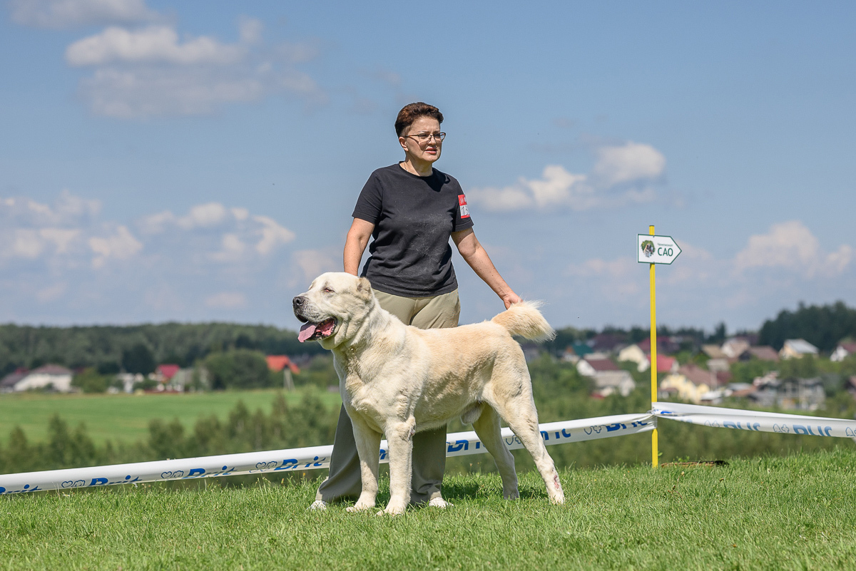 Контент-фотограф, промышленный фотограф, фотограф животных в городе Минск - Сергей Клеменок, фотография от 17.02.2026
