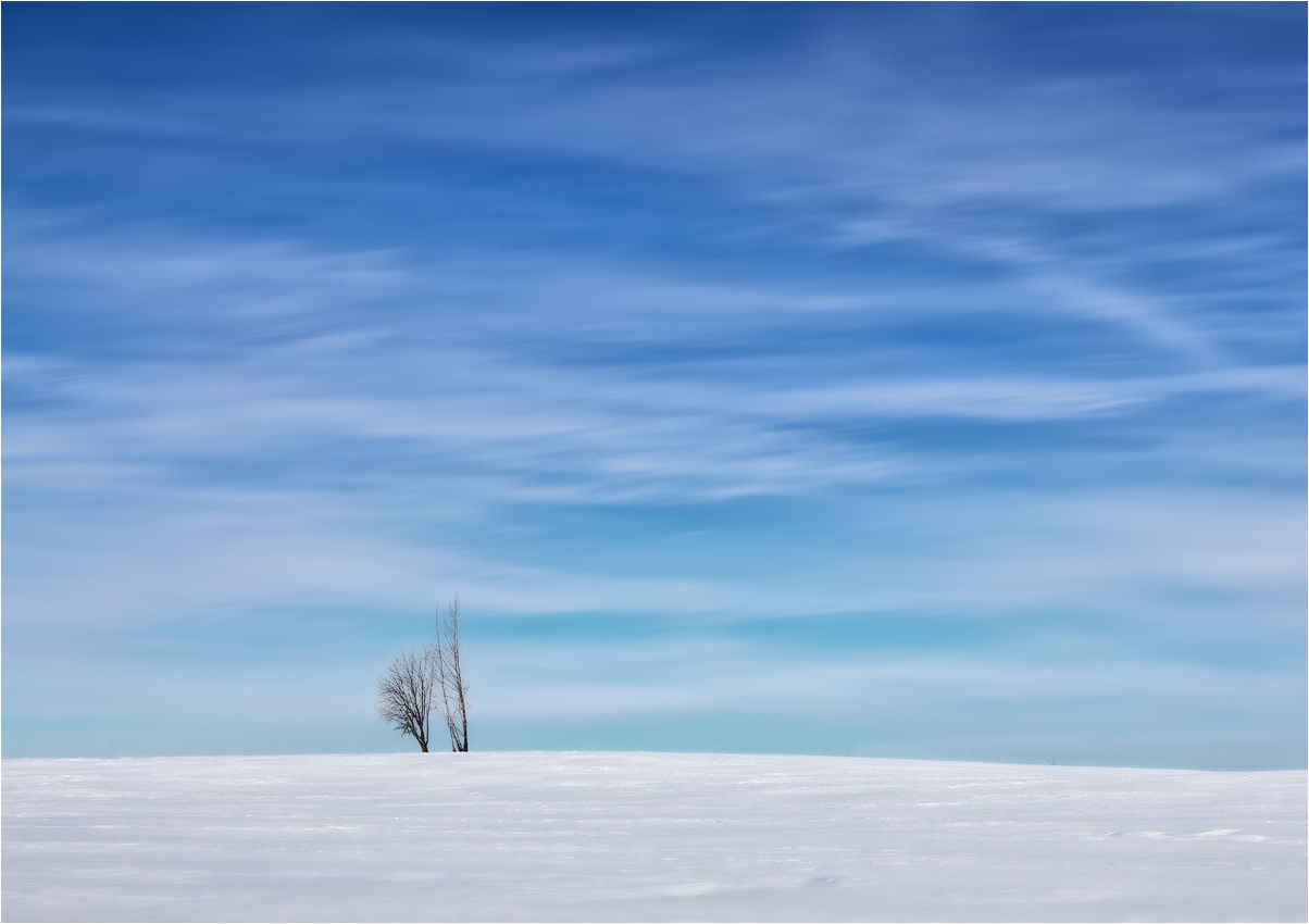 Снег и небо | Фотограф Сергей Шабуневич | foto.by фото.бай