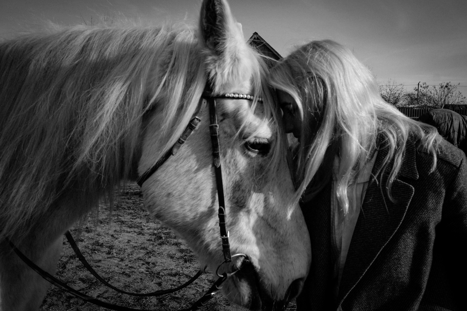 Фотограф Оксана Стасенко - фотограф Love Story в городе Минск, фотография от 17.11.2025