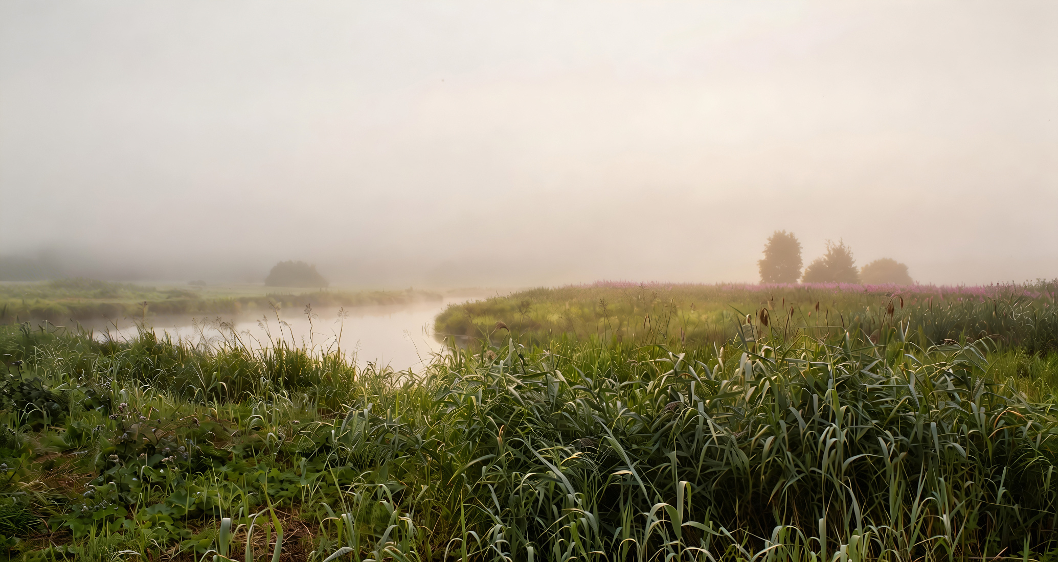 Туманное утро | foto.by фото.бай