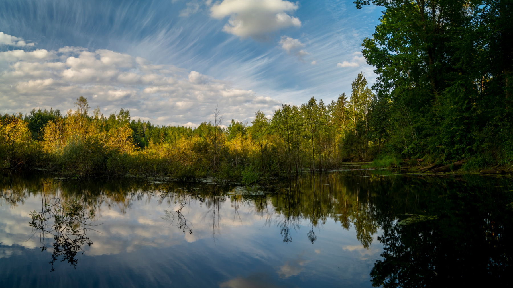 Старое болото | Фотограф Алексей Жариков | foto.by фото.бай