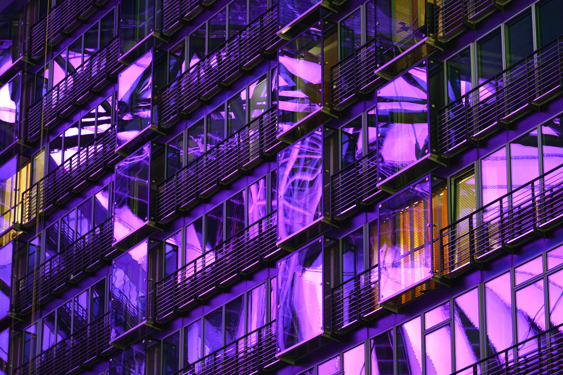 Пурпурные отсветы | Фотограф Александр Кузнецов | foto.by фото.бай