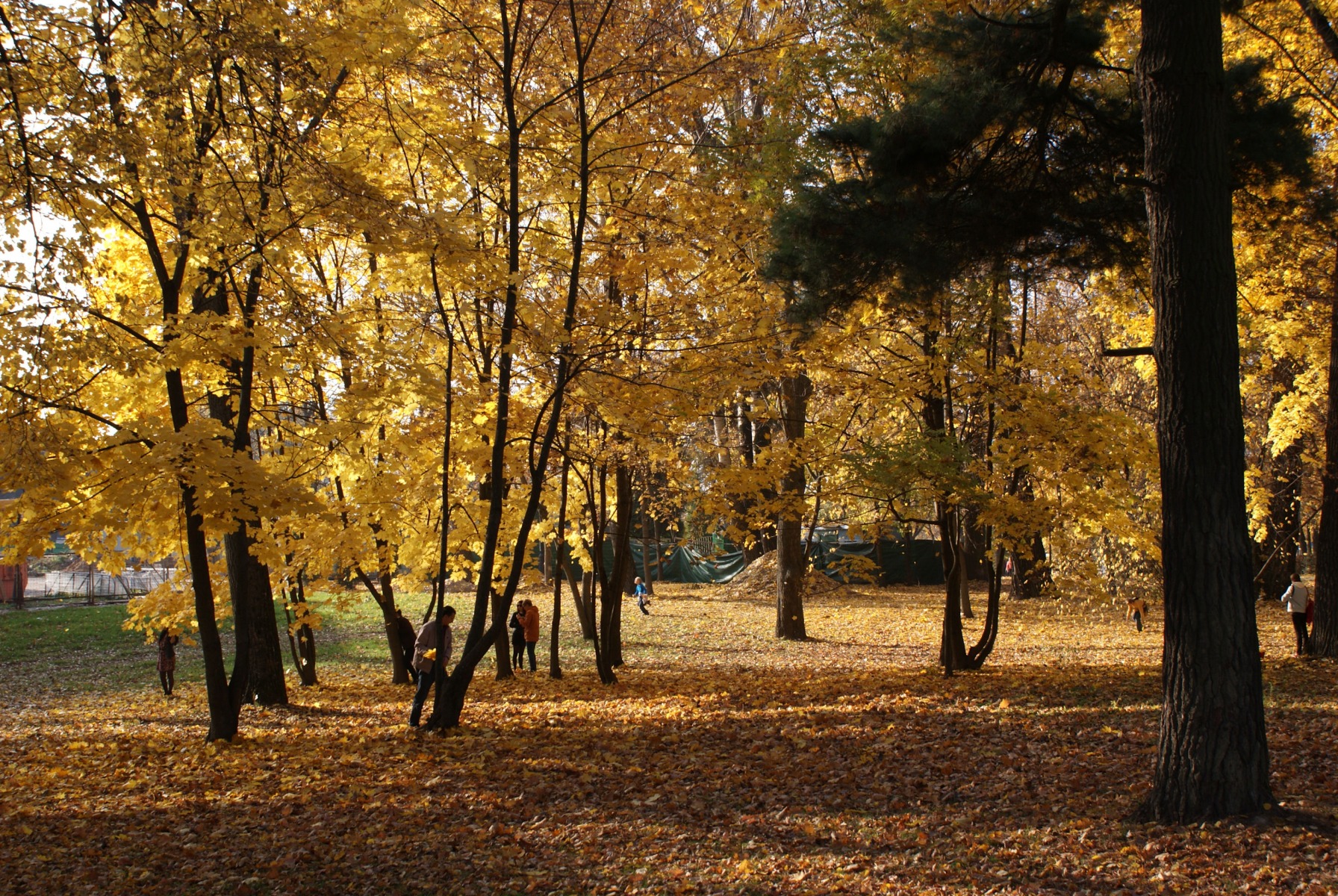 Осень | Фотограф Слава Драгун | foto.by фото.бай