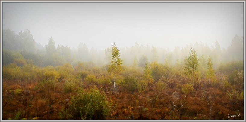 Туман | Фотограф Михаил Цегалко | foto.by фото.бай