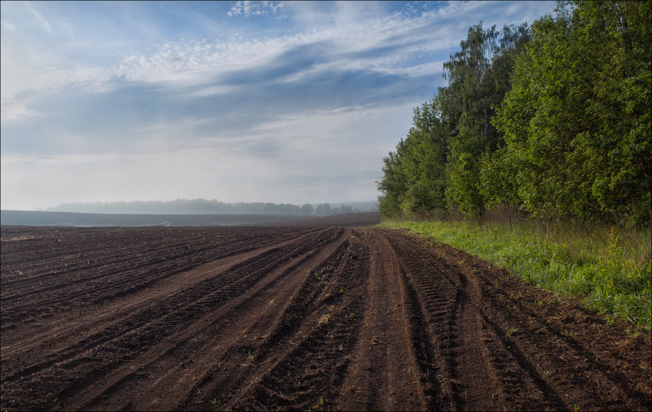 Про весну на пашне | Фотограф Сергей Шабуневич | foto.by фото.бай