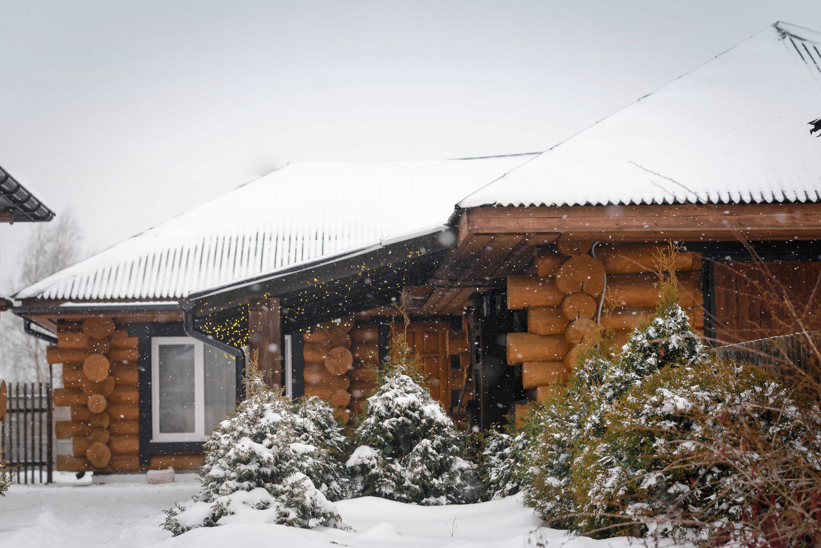 Фотограф Надежда Володько, фотография от 04.03.2026