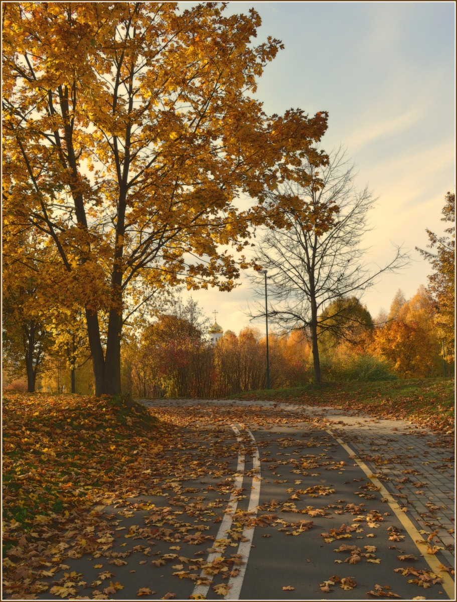 осень, велодорожка | Фотограф Игорь Сафонов | foto.by фото.бай