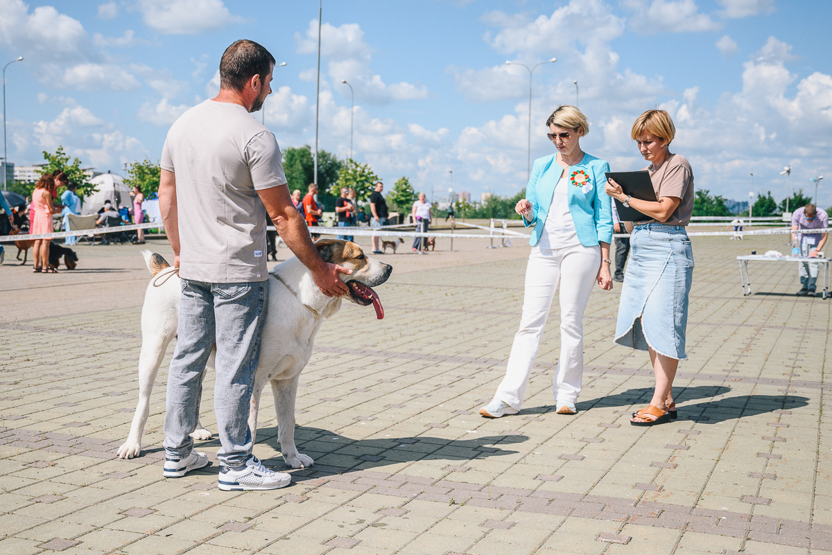 Контент-фотограф, промышленный фотограф, фотограф животных в городе Минск - Сергей Клеменок, фотография от 01.09.2026