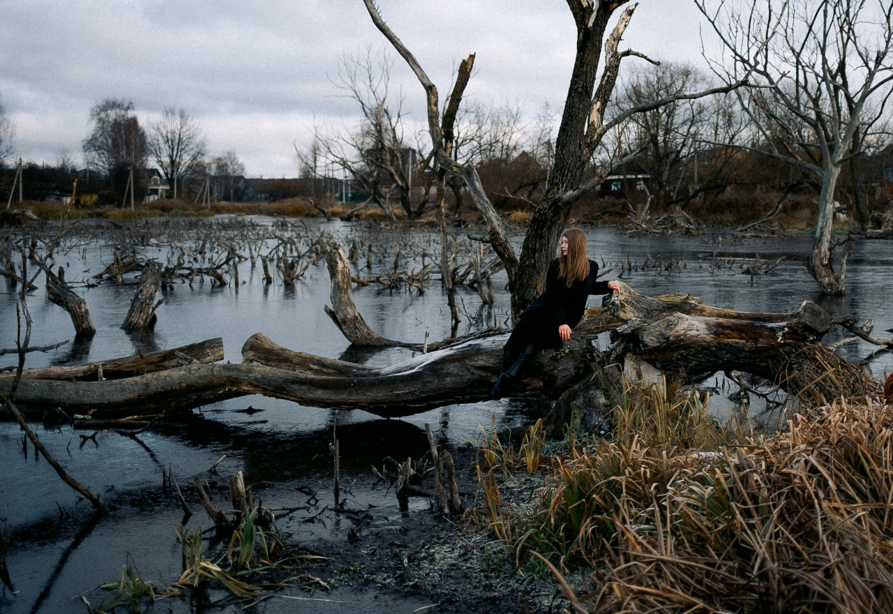 Фотограф в Минске - семейный, свадебный, репортажный фотограф. Фотосъёмка крещения, дня рождения, юбилея, венчания, корпоратива в Минске., фотография от 17.11.2025