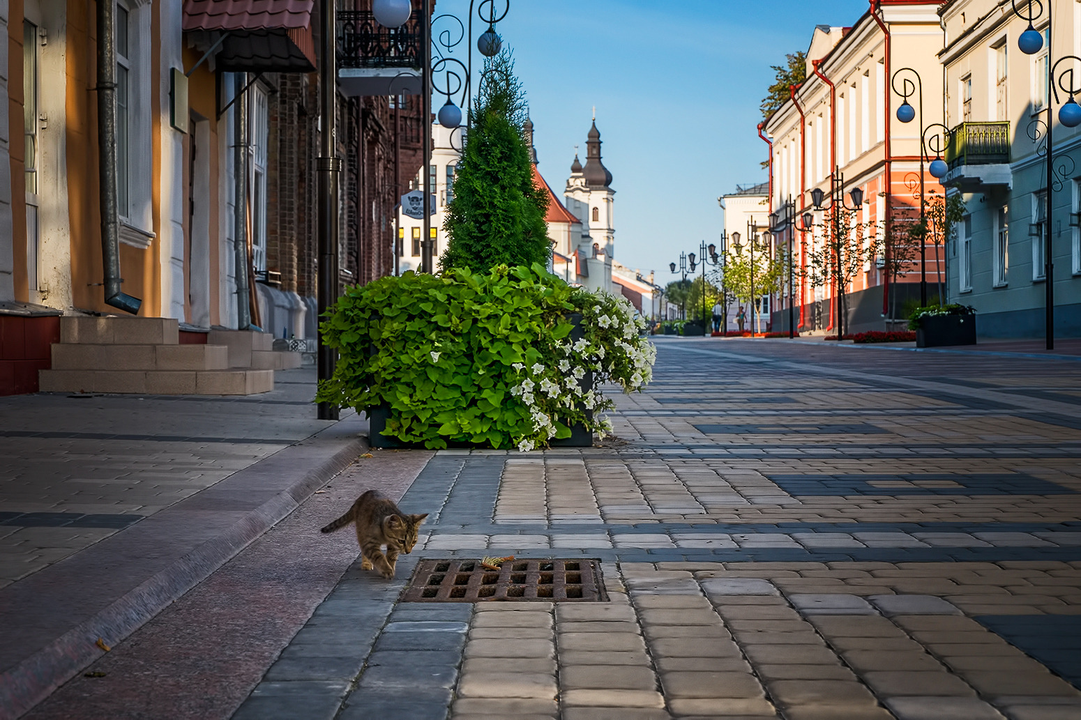 Улица провинциального городка | Фотограф Александр Шатохин | foto.by фото.бай