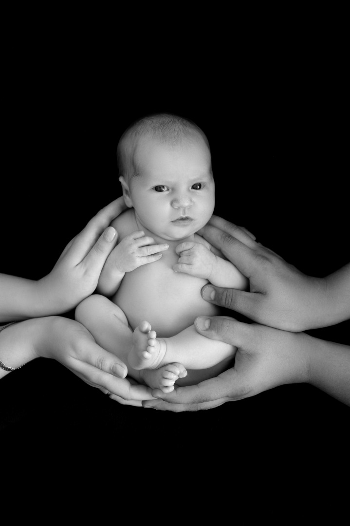 Фотограф Ольга Хиневич, фотография от 25.02.2026