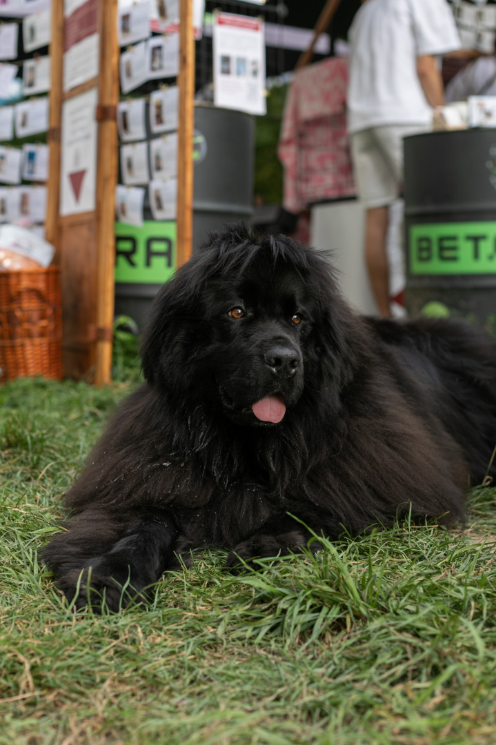 Фотограф для фотосессии, фотография от 14.10.2025