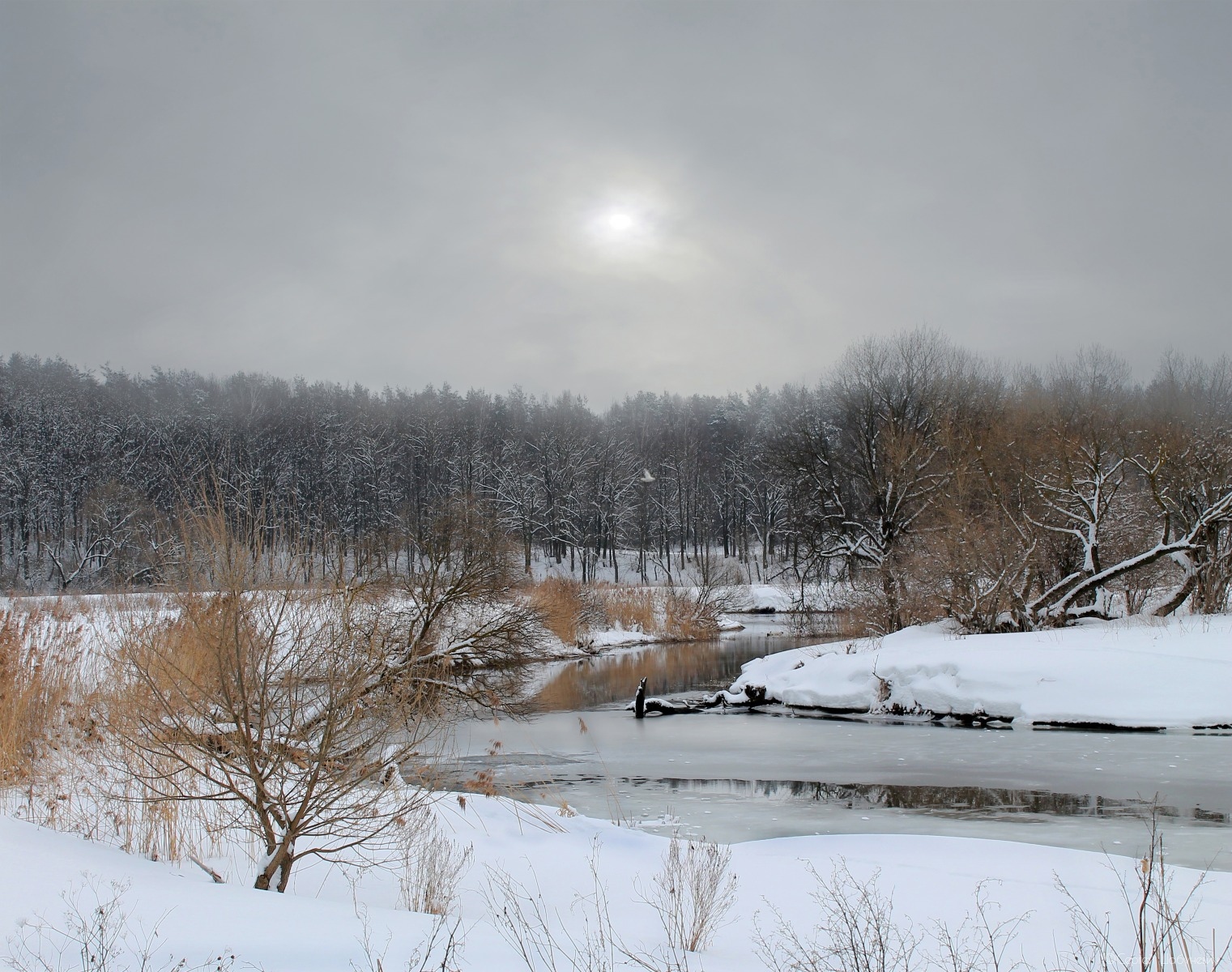 Река Свислочь | Фотограф Сергей Шабуневич | foto.by фото.бай