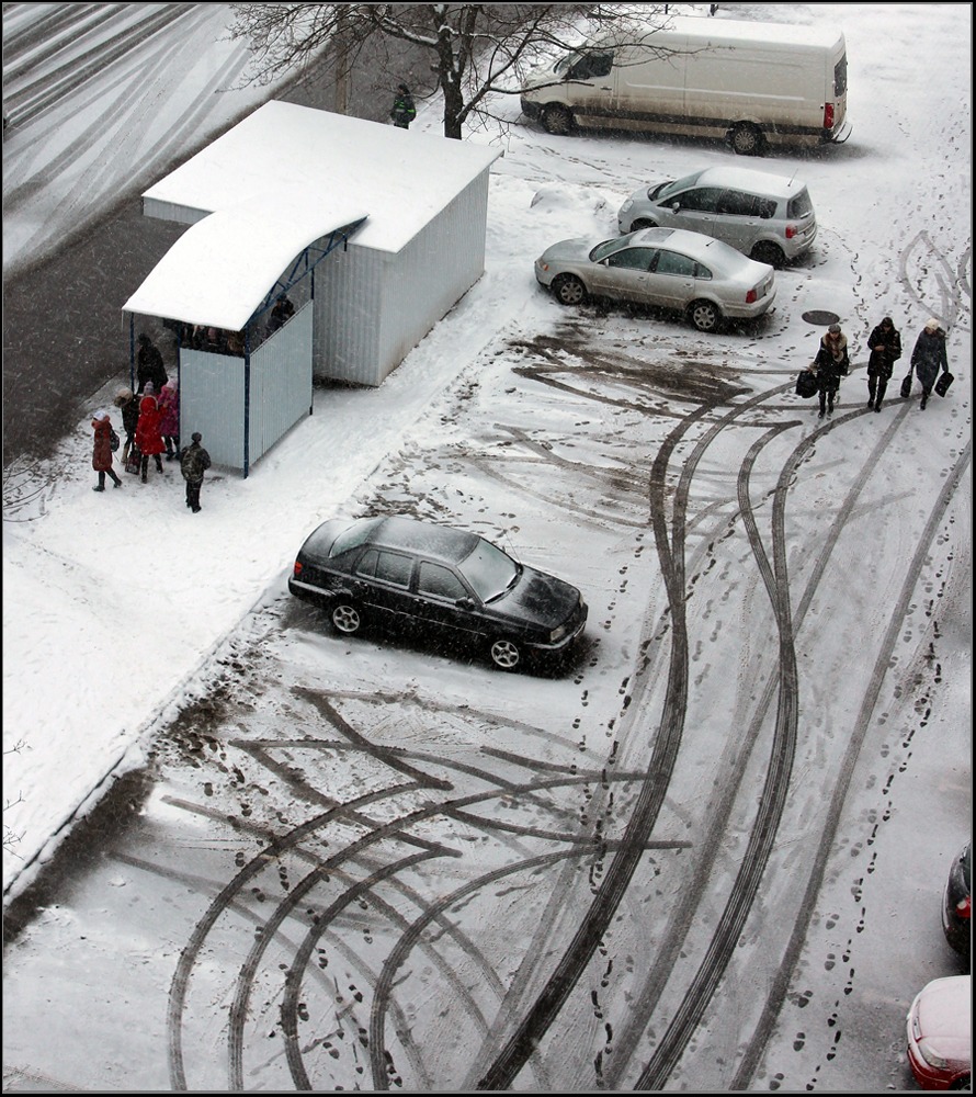 Первый снег | Фотограф Анатолий Волосюк | foto.by фото.бай