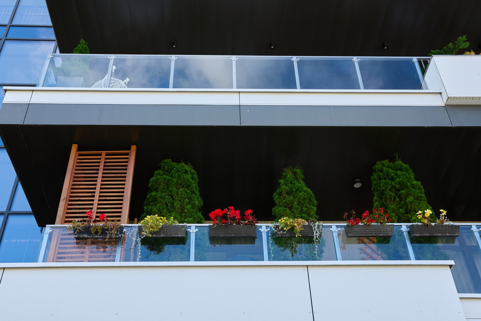 Фотограф Илья и Юлия Ширмановы, фотография от 17.12.2025