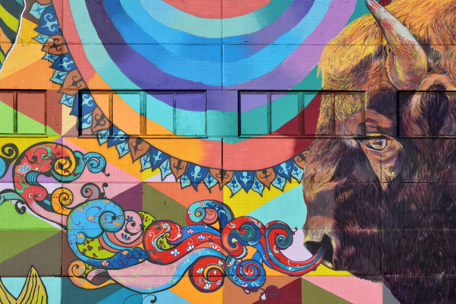 Зубр | Фотограф Александр Кузнецов | foto.by фото.бай