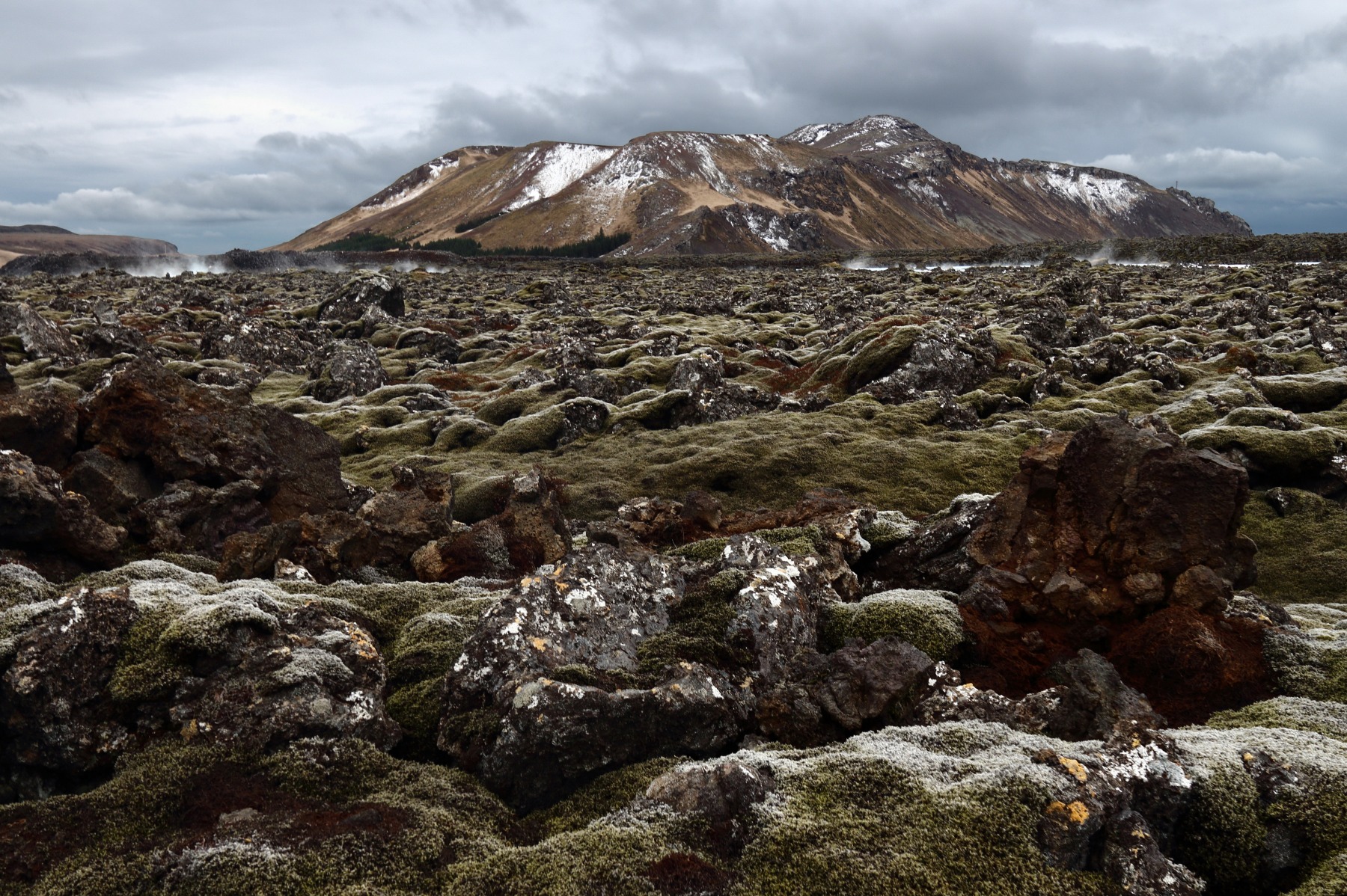 Лавовые поля Исландия