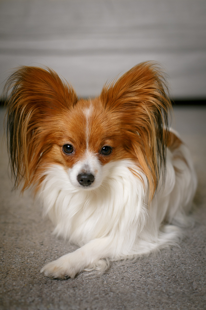 Фотограф Борис Карасик, фотография от 09.01.2019