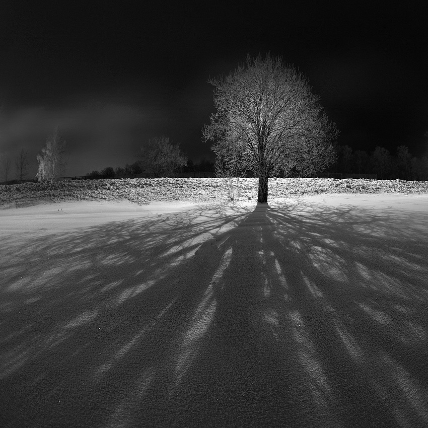 Зимний вечер | Фотограф Сергей Шляга | foto.by фото.бай