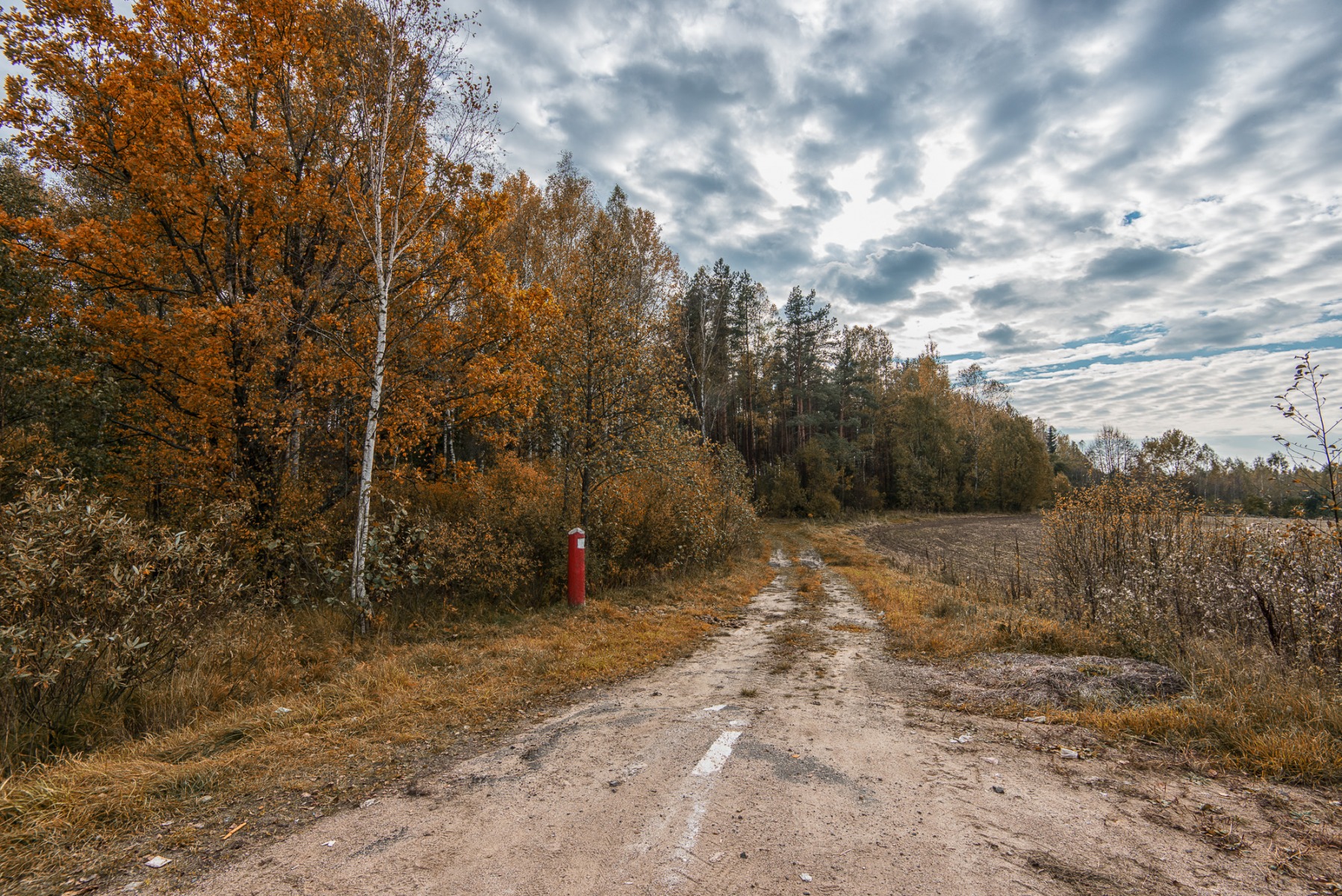Старая дорога | Фотограф Михаил Трухачев | foto.by фото.бай