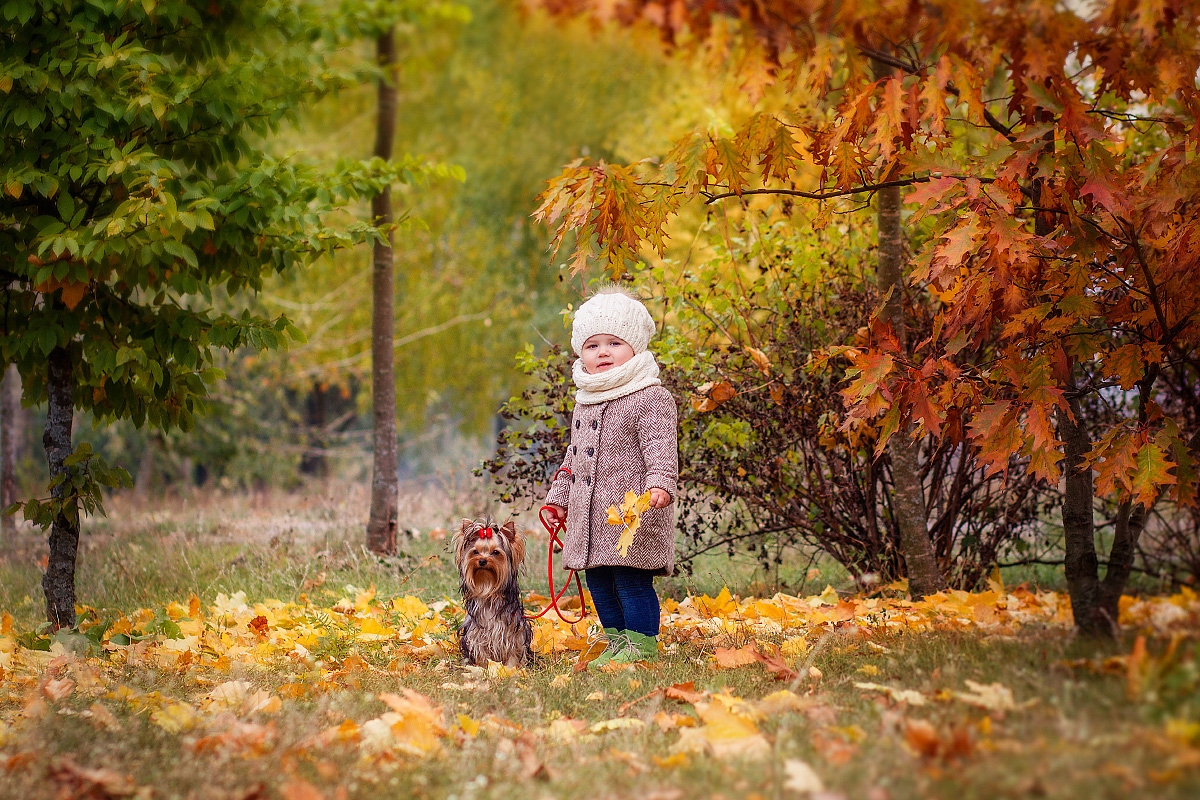 Осень | Фотограф Юлия Зубкова | foto.by фото.бай