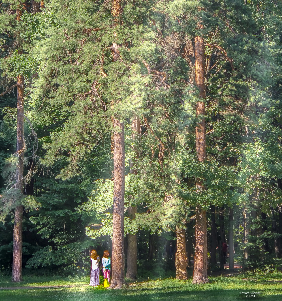 Гулять в лесу. | Фотограф Edward Berelet | foto.by фото.бай