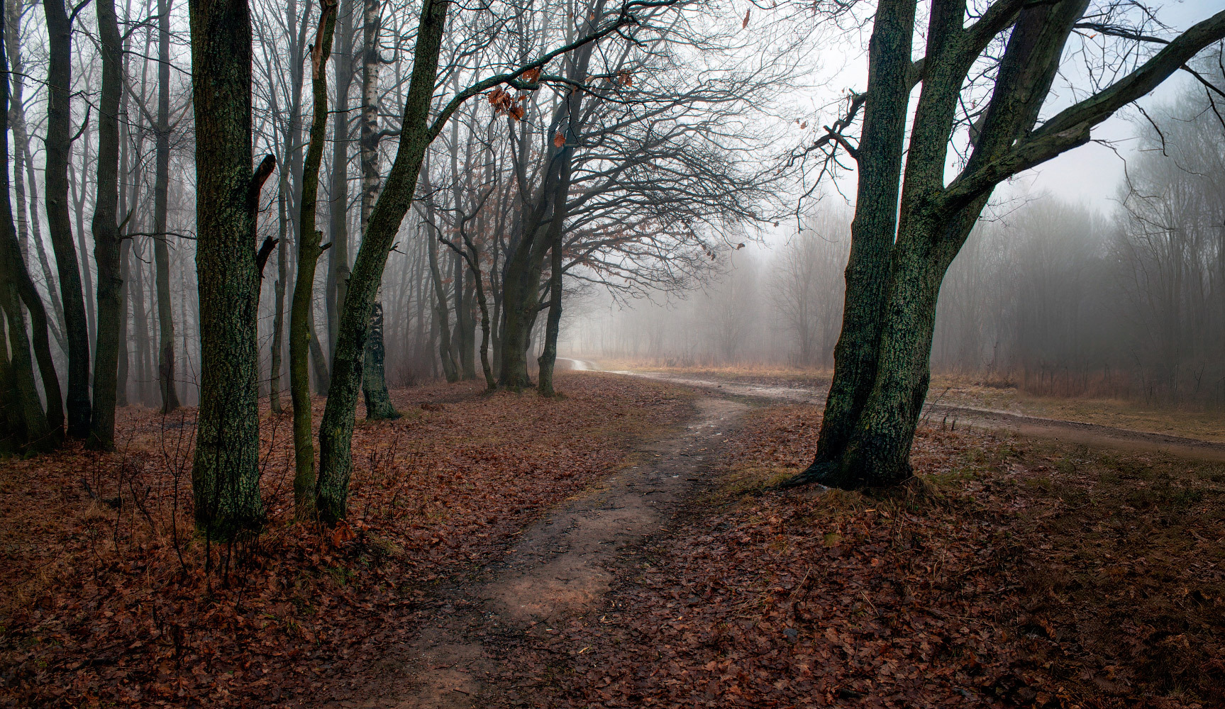 Осенний январь | foto.by фото.бай
