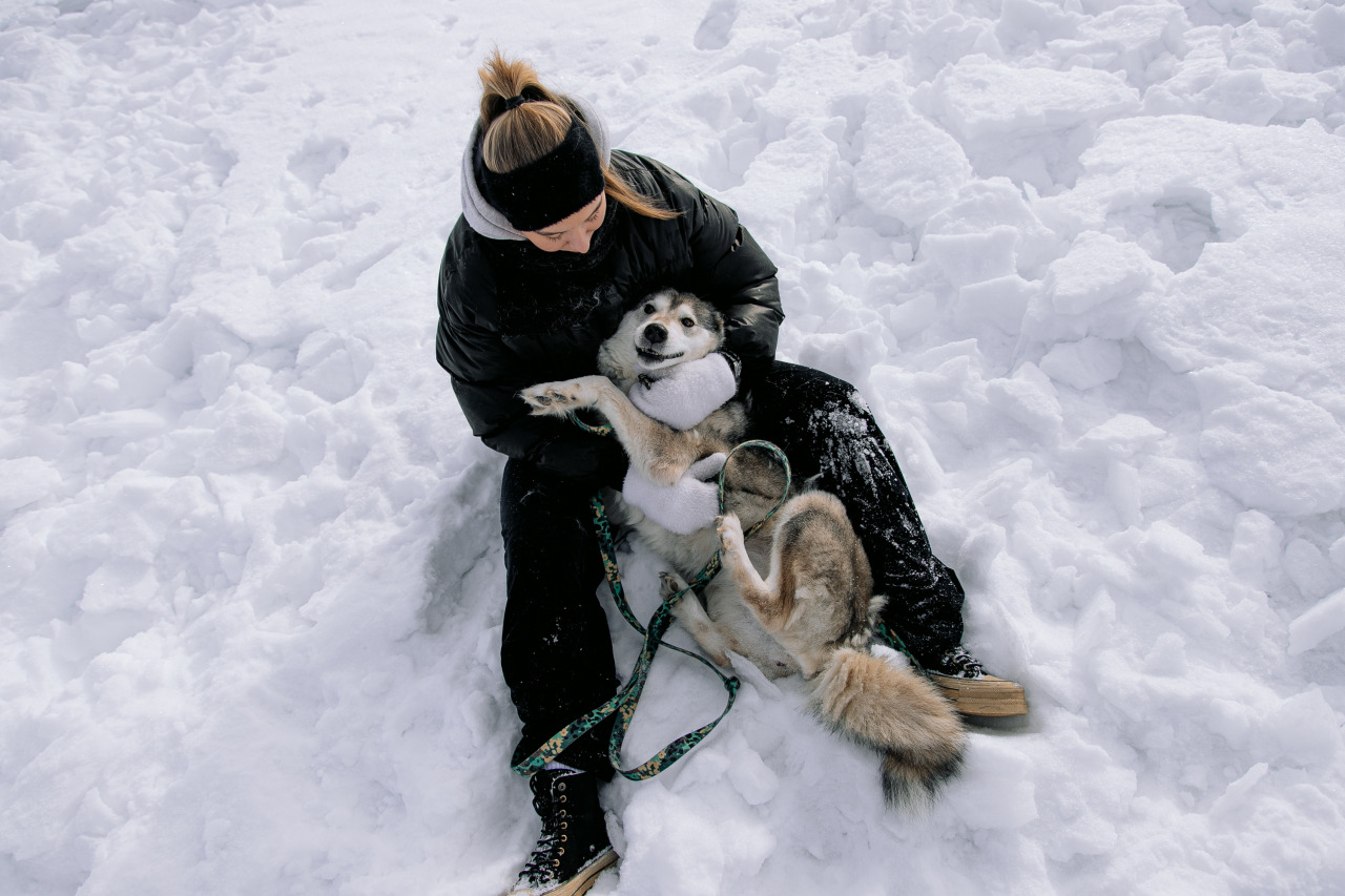 Фотограф в Минске - семейный, свадебный, репортажный фотограф. Фотосъёмка крещения, дня рождения, юбилея, венчания, корпоратива в Минске., фотография от 19.02.2026