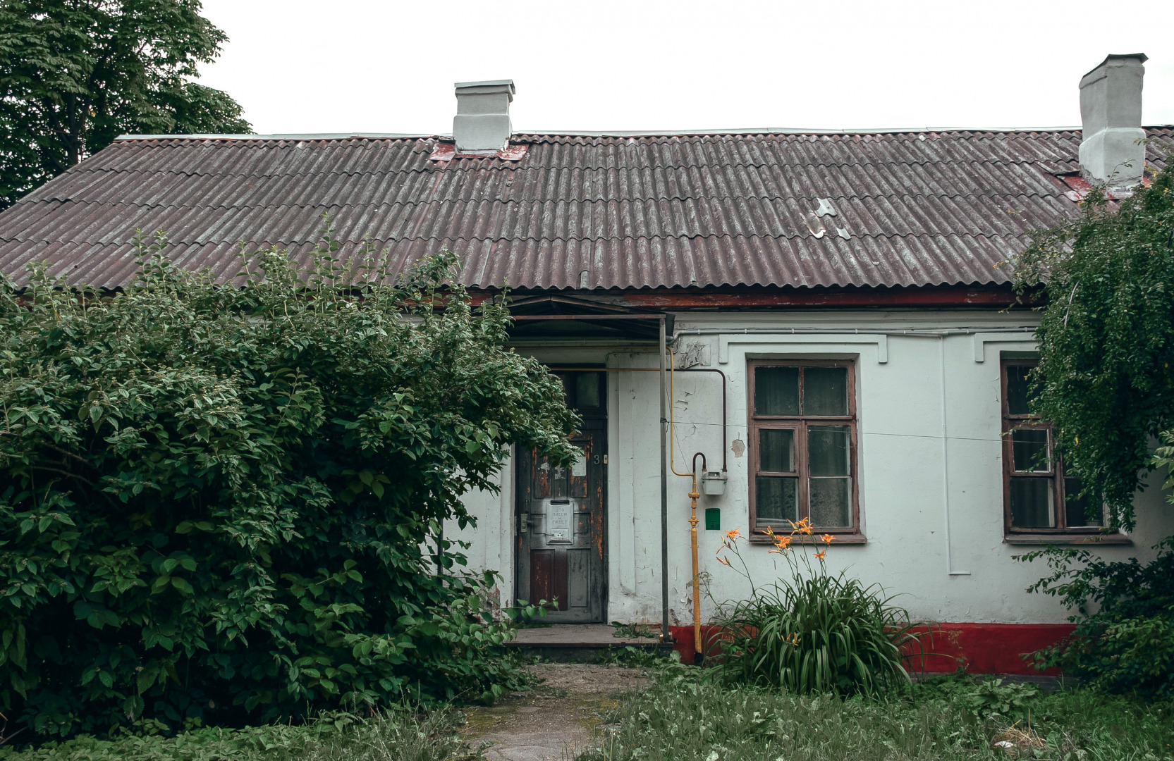 Фотограф Мария Войтик, фотография от 12.08.2026
