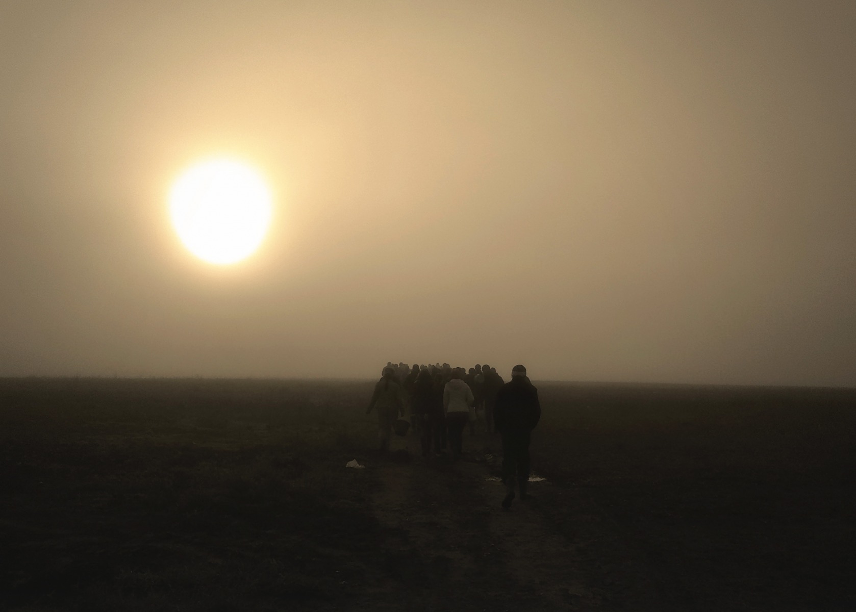 В утреннем тумане | Фотограф Михаил Климкович | foto.by фото.бай