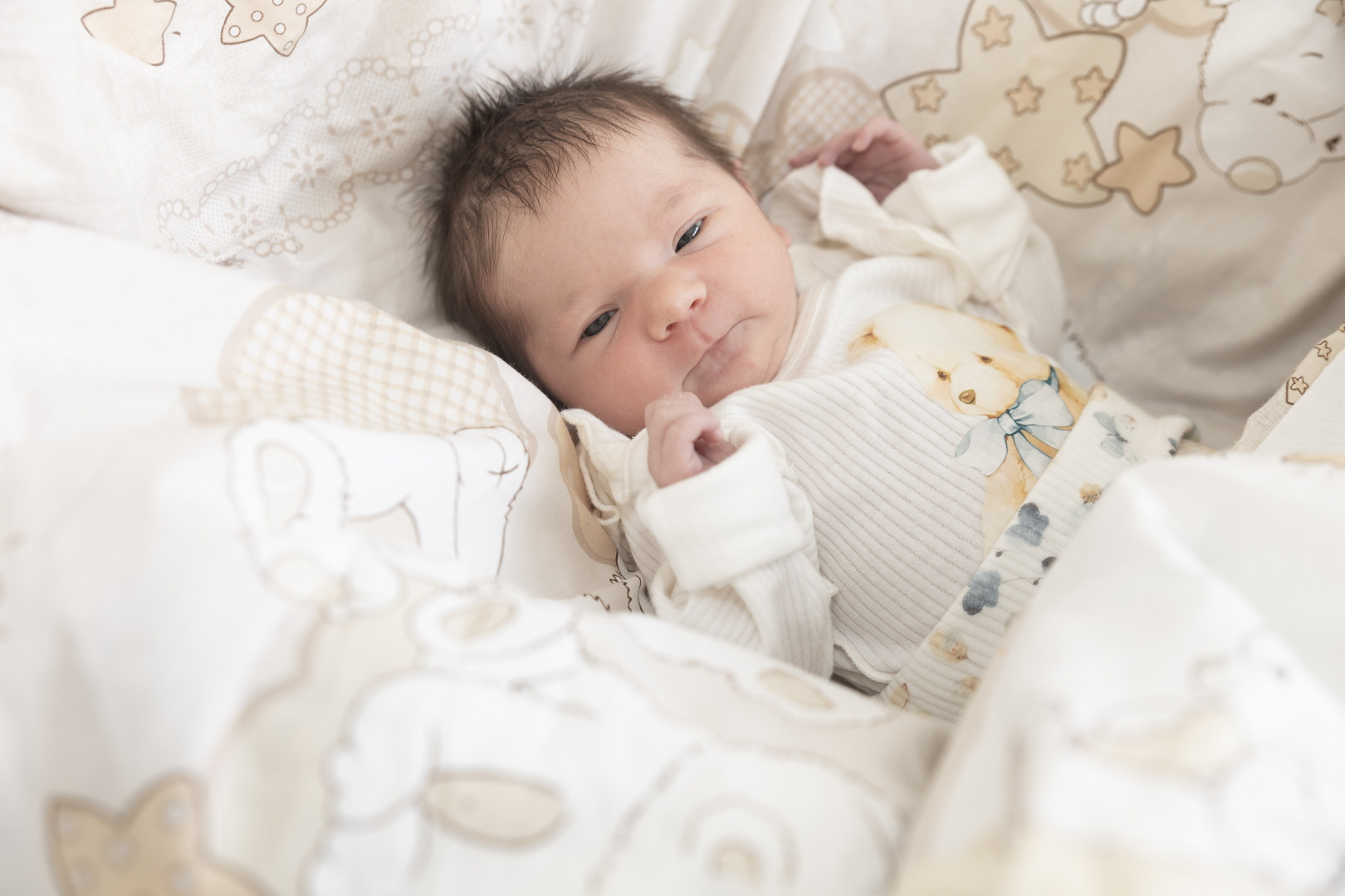 Фотограф Оксана Ткаченко, фотография от 12.02.2026