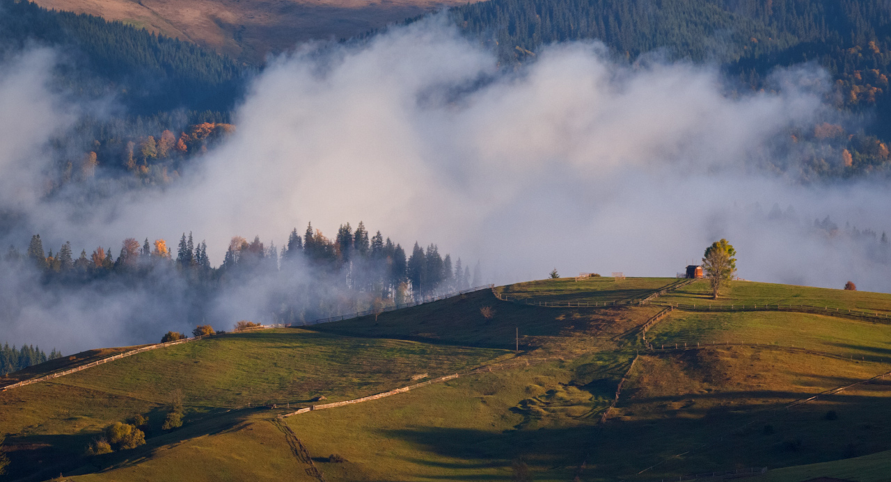 Туман, туман укутал землю вновь... | Фотограф Ольга Максимова | foto.by фото.бай