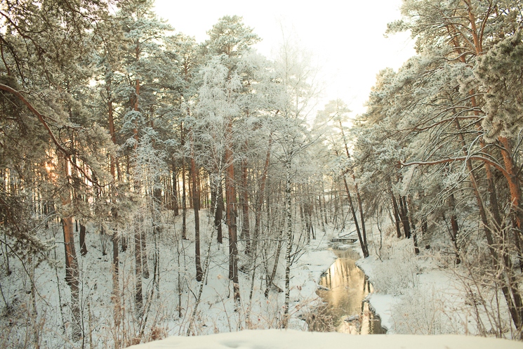 Фотограф Юлия Линник, фотография от 13.03.2015