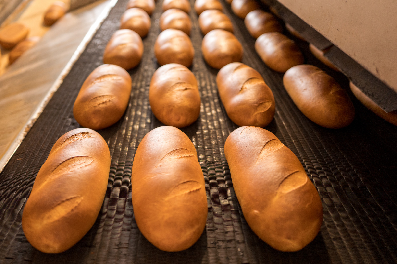 Фотограф Катерина Сиводедова, фотография от 16.04.2026