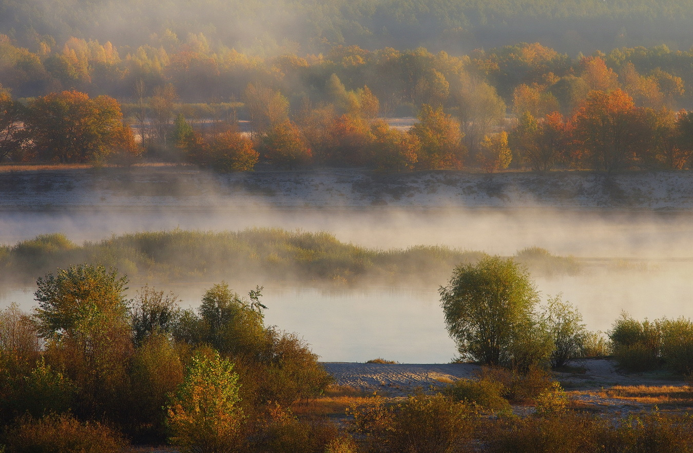 Осенние туманы | Фотограф Сергей Шляга | foto.by фото.бай