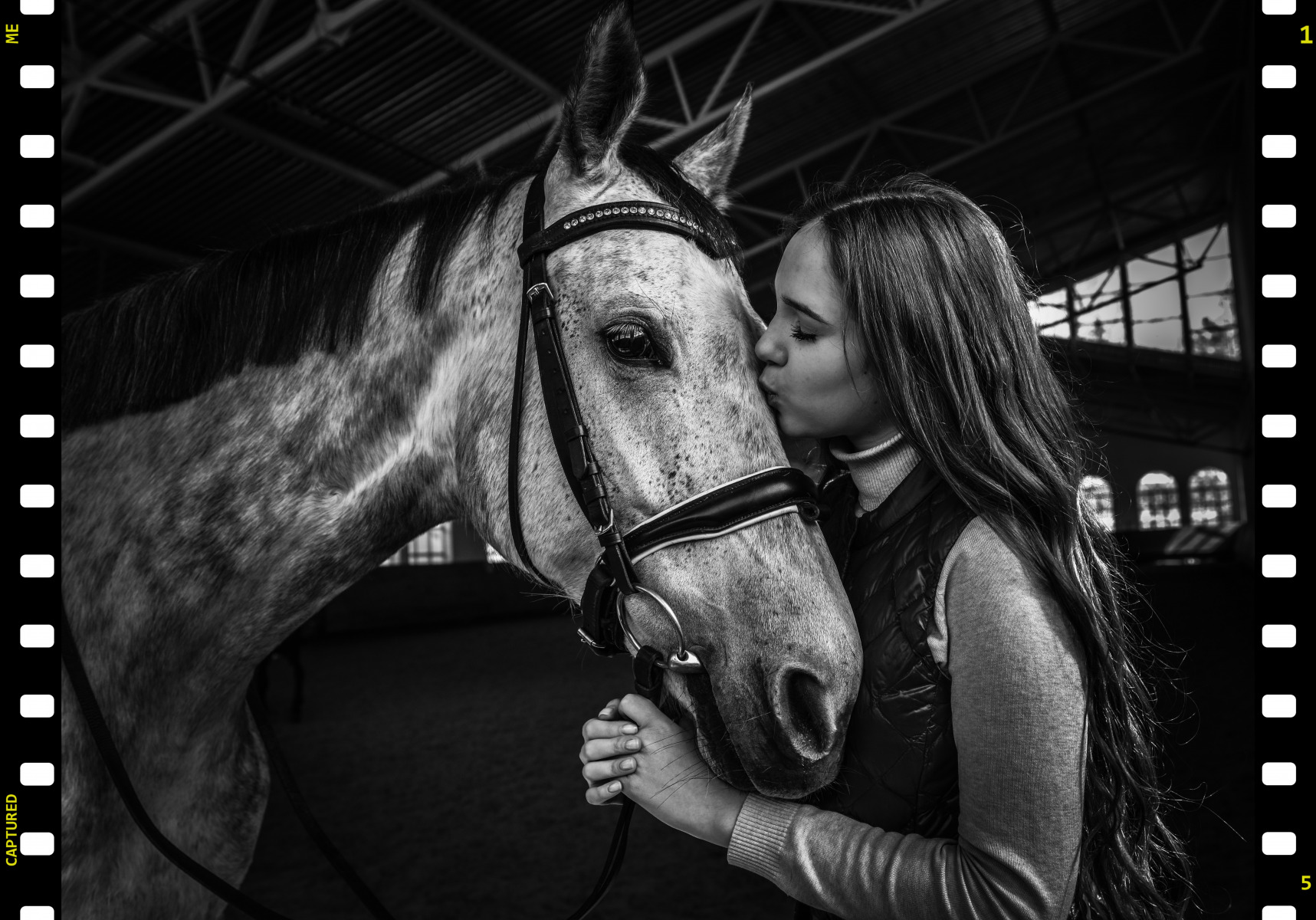 любимая лошадка | foto.by фото.бай