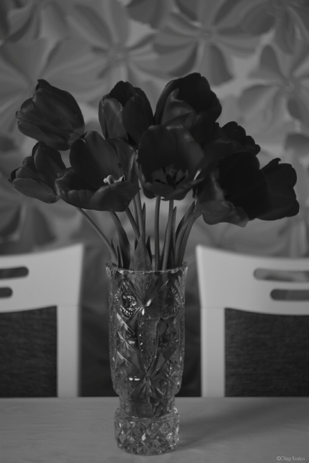 Тюльпаны | Фотограф Oleg Kozlov | foto.by фото.бай