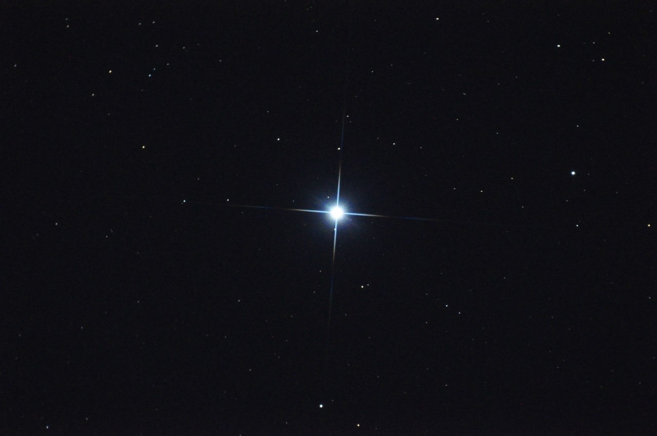 Северная звезда похожие