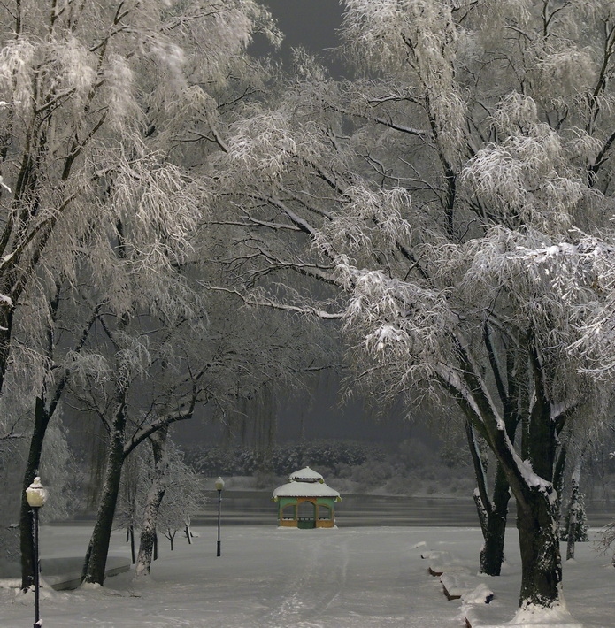 вечер в зимнем парке | Фотограф Сергей Шляга | foto.by фото.бай