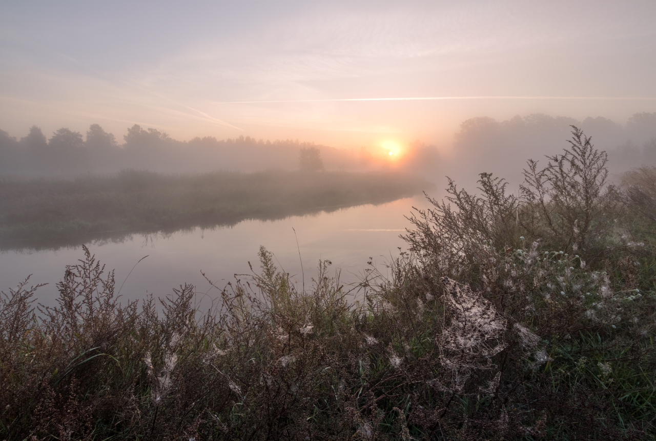 утро на реке Орессе... | Фотограф Олег Яскевич | foto.by фото.бай