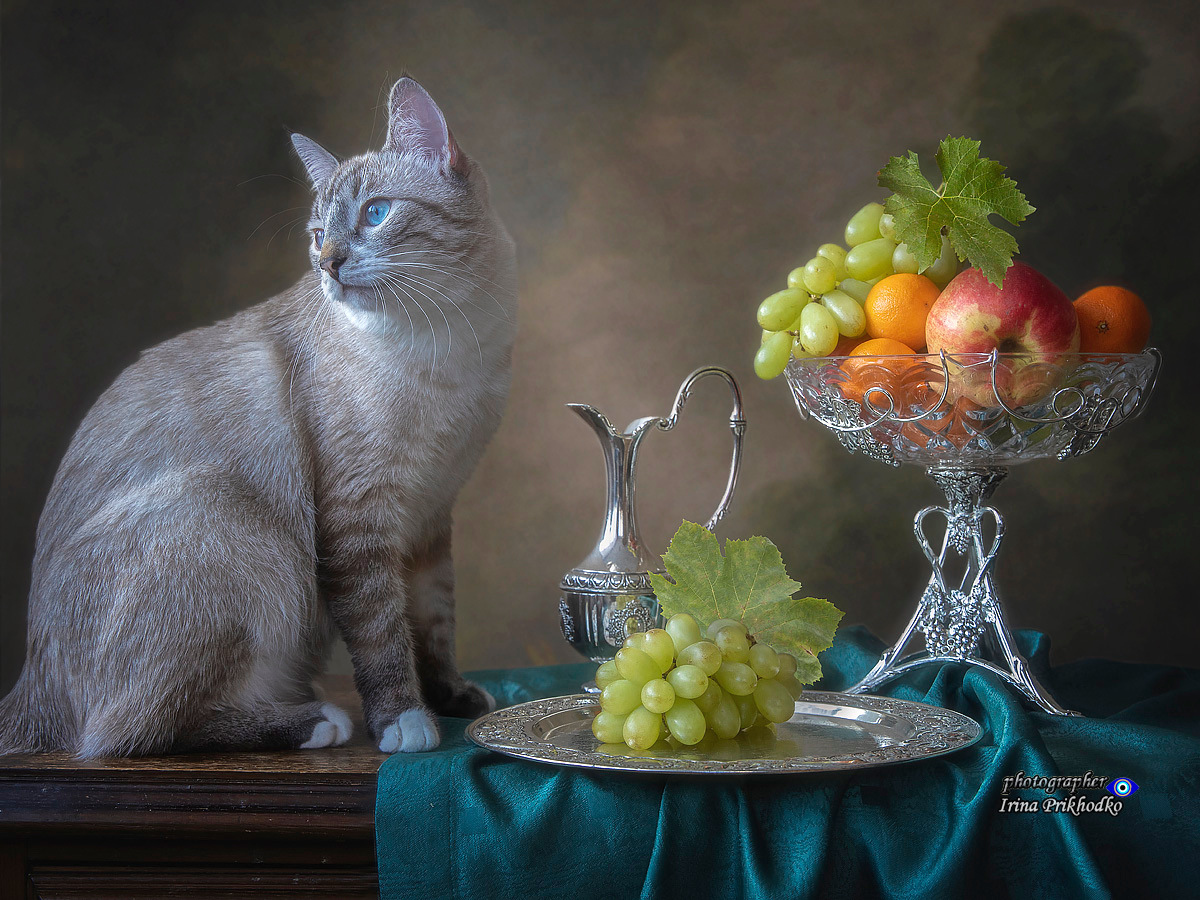 Опять эти фрукты! | Фотограф Ирина Приходько | foto.by фото.бай