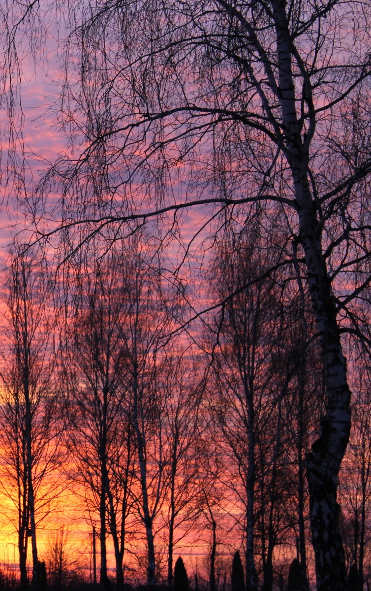 Закат | Фотограф Юлия Глинская | foto.by фото.бай