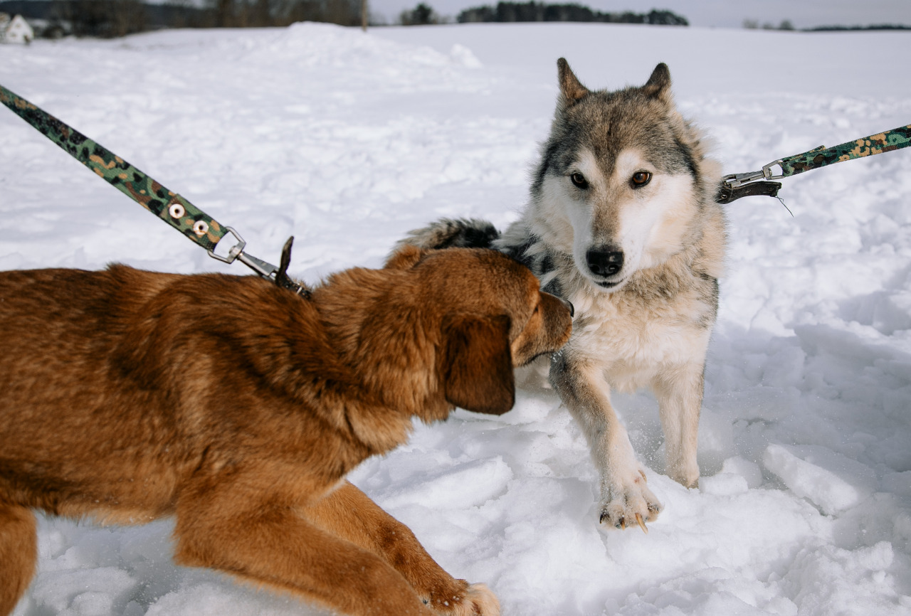 Фотограф в Минске - семейный, свадебный, репортажный фотограф. Фотосъёмка крещения, дня рождения, юбилея, венчания, корпоратива в Минске., фотография от 18.02.2026